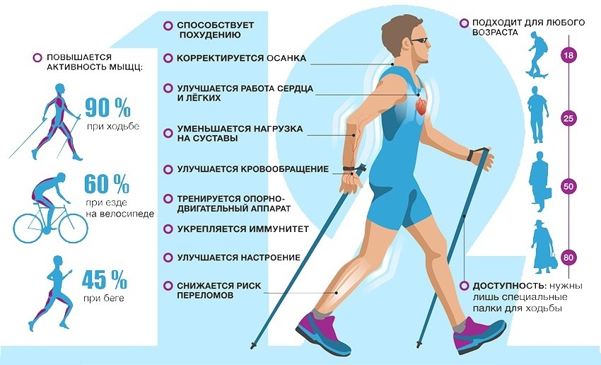 Новости о занятиях скандинавской ходьбой