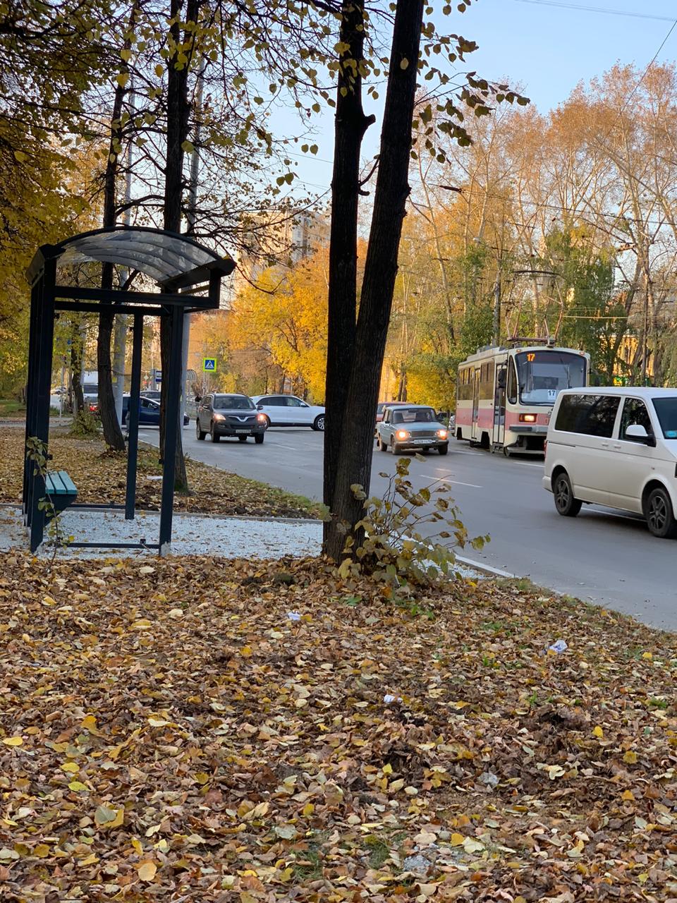 Подарок к Дню пожилого человека.