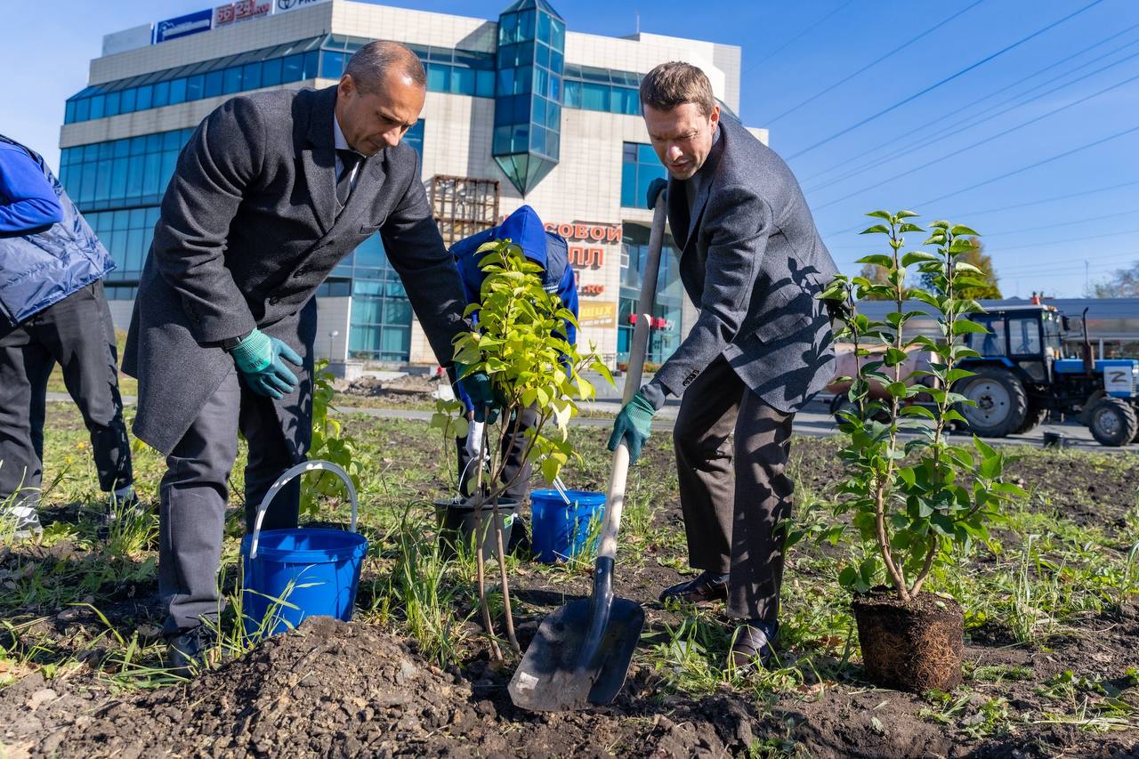 🌱 В сквере у «Ордена Победы» на Эльмаше высадили сирень!…