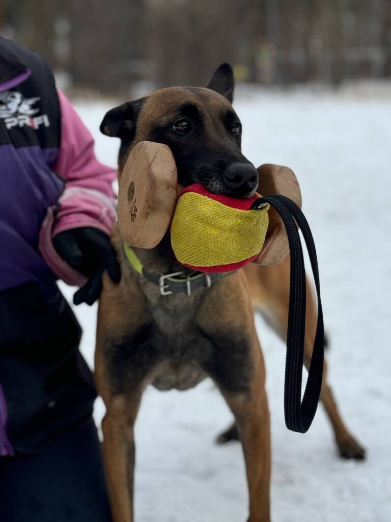 Гермиона — жадина!